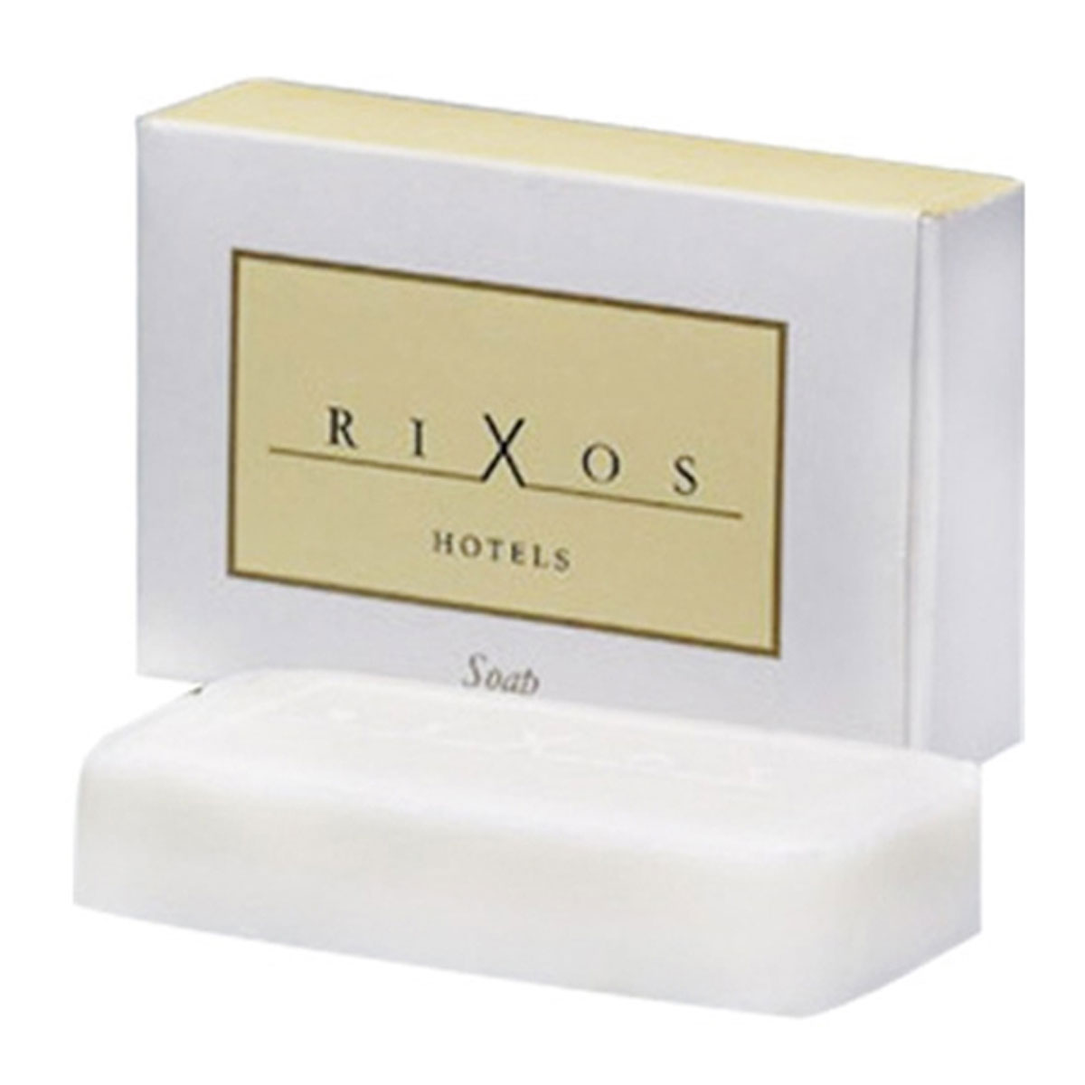 Hotel Amenities